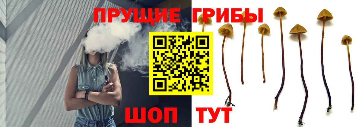 Галлюциногенные грибы прущие грибы  Вход с VPN  Лысьва 