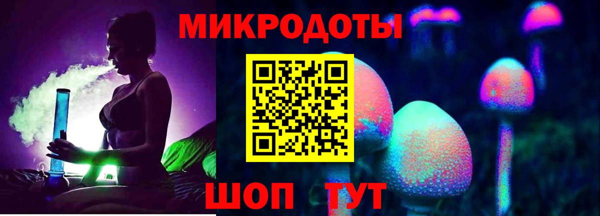 Псилоцибиновые грибы Psilocybe Лысьва